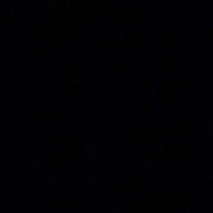 Meet your Posher, Ashton